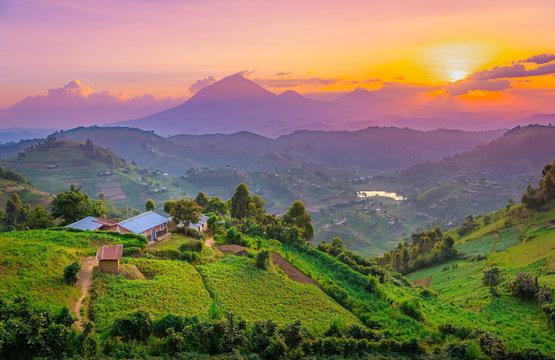 Uganda - Image 1
